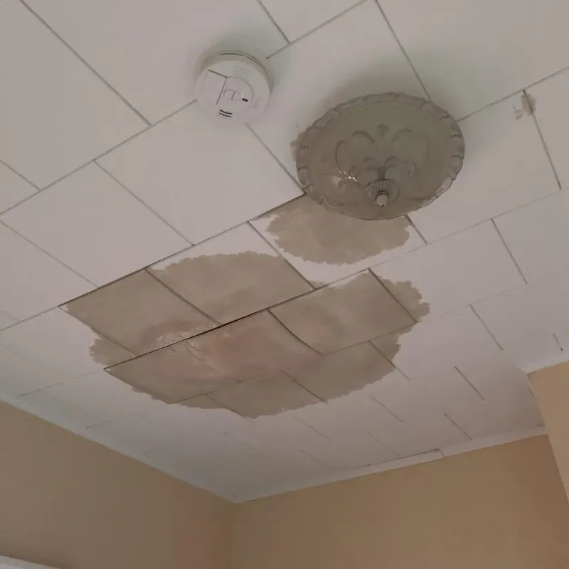 Ceiling Water Damage Repair in Marysville, OH