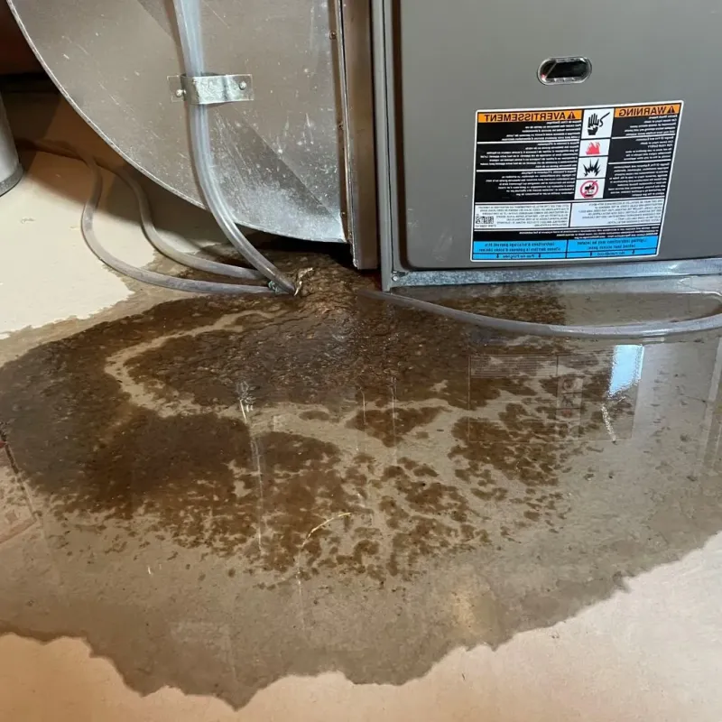 Pipe Burst and Leak Restoration in Marysville, OH