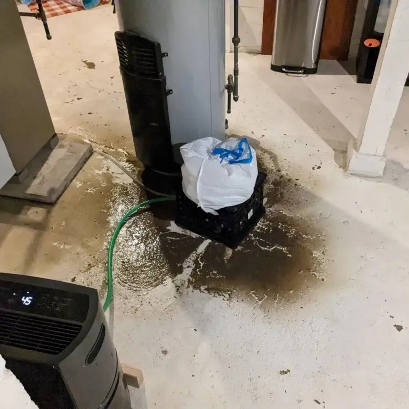 Sewage Backup Cleanup Service in Marysville, OH
